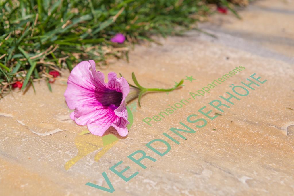 Pension Verdinserhoehe سكين المظهر الخارجي الصورة